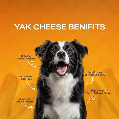 Premium Natural Fruit-Flavored Himalayan Yak Chew for Dogs - 300g, All-Natural, Long-Lasting, Authentic Yak Milk, Healthy Dental Chew (Large, Mint)