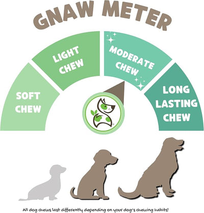 Nature Gnaws Beef Paddywack Tendons for Dogs 5-6" (10 Count) - Long Lasting for Aggressive Chewers - Natural Beef Dog Chew Bones - Rawhide Free (Pack of 2)
