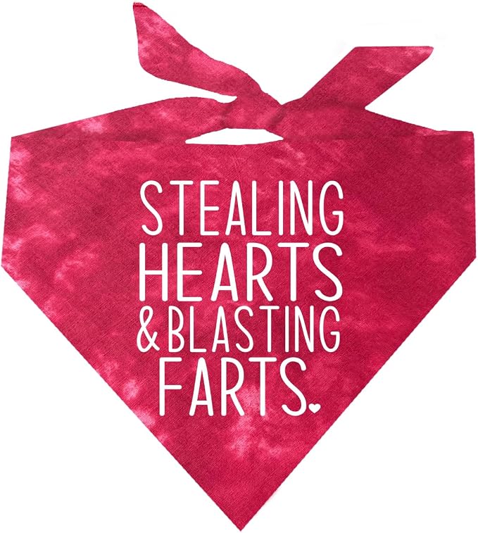 Stealing Hearts Blasting Farts Dog Bandana | 100% Cotton Tie Dye Triangle | Made in USA | Valentine's Day | Cute & Funny | One Size | Red Scrunch (983)