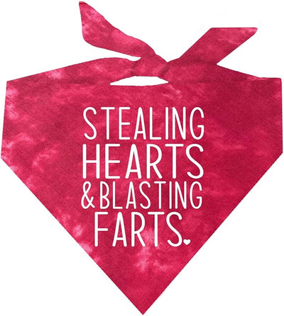 Stealing Hearts Blasting Farts Dog Bandana | 100% Cotton Tie Dye Triangle | Made in USA | Valentine's Day | Cute & Funny | One Size | Red Scrunch (983)
