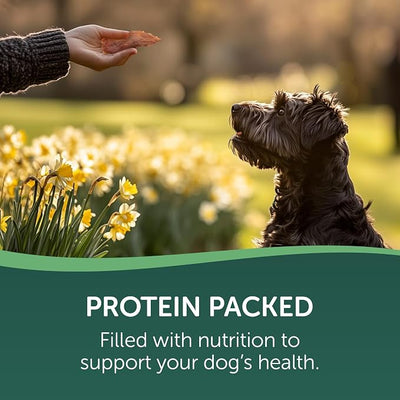 Healthfuls Chicken Jerky Dog Treats, 20oz