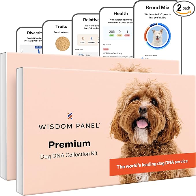 Wisdom Panel Premium Dog DNA Testing Kit - Most Comprehensive Test - 265+ Health Tests, 430+ Dog Breeds, 50+ Traits, Relatives, Ancestry, 2 Pack