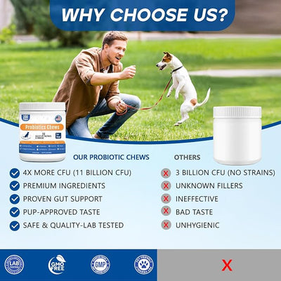 Probiotics for Dogs Dog Probiotic Chews for Yeast Itch Relief Ears Skin Coat, Gut Digestive Health & Immune Support with 11Billion CFU Probiotics, 6 Enzymes, 4 Prebiotics, Pumpkin, 200ct