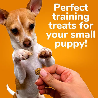 Fruitables Dog Treats, Grilled Bison, 12 Ounces Pack of 2 | Skinny Mini | Low Calorie | Training Treats | Wheat-Free