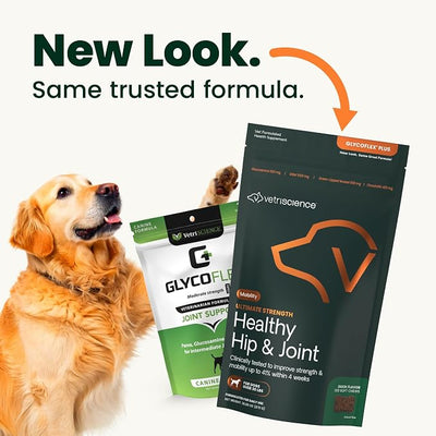 VetriScience Healthy Hip & Joint Chews, GlycoFlex Glucosamine and Green-Lipped Mussel Joint Support Supplement for Dogs, Promote Mobility and Protect Joints, Chicken, 120 Count (Pack of 2)