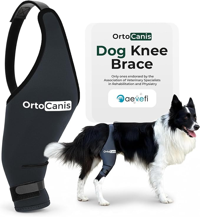 Ortocanis Dog Knee Brace for Hind Leg Support – Flexible Neoprene Knee Brace for Dogs with Joint Instability, Torn ACL, Limping or Osteoarthritis – Comfortable Support for Recovery (XXXS, Right Leg)