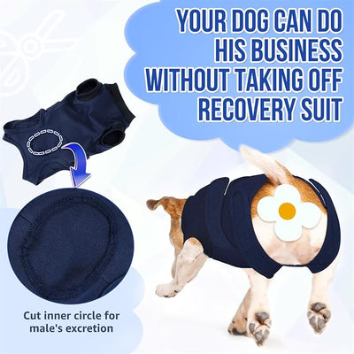 SlowTon Dog Surgery Recovery Suit - Zipper On Dog Onesies After Surgery for Female Male Dogs, Abdominal Wounds Bandages Cone/E-Collar Alternative Dogs Body Suit Anti-Licking (DBL,3XL)