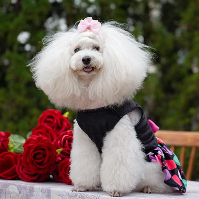 CuteBone I Love U Dress Velvet for Small Dogs Girl Puppy Dresses Black Dog Clothes