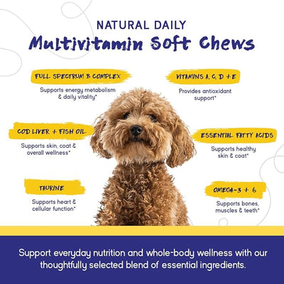 PupGrade Daily Multivitamin for Dogs – All-in-One Supplement with Omega Fish Oil, Vitamins A, C, D, E & B Complex for Everyday Health – 90 Soft Chews