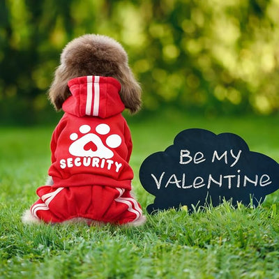Soft & Warm Dog Outfit - Pullover Hoodie & Sweatshirt for Small, Medium & Large Dogs (Red, XX-Small)