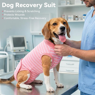 cyeollo Dog Surgery Recovery Suit, Surgical Suit for Female Male Dogs, Soft Dog Onesie, Spay Neuter Body Suits, E-Collar & Cone Alternative, Anti-Licking Wound, Puppy Clothes for Small Dogs, Stripes S