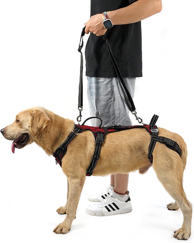 COODEO Mobility Dog Lift Harness, Support Sling & Walking Sling for Dogs, Pet Rear Leg Rehabilitation Support Vest, Dog Carrier for Senior Dogs with Joint Injuries, Arthritis, Up Stair (Red, S)