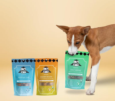 Wellness Dog Treats Bundle – Dog Wellness Bites, Healthy Organic Treats (3-Pack)