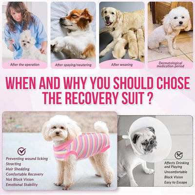 Lukovee Recovery Suit for Dogs, Onesie Surgery Recovery Suit for Female Male Dogs, Abdominal Wounds Cone E-Collar Alternative Prevent Licking Spay Recovery Suit (Pink Stripes,S)