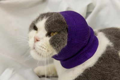 Cat Ear Wrap Safe & Sound Noise Reduction Keep Calming Anti-Anxiety Neck Gaiter for Cats Purple S