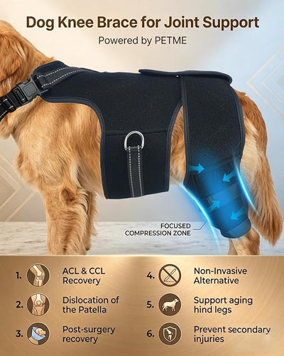 2-in-1 Dog Knee Brace and Lift Harness, Adjustable Back Leg Support with Stabilizers for ACL Recovery & Joint Care, Dog Sling for Hind Legs, Mobility Aid for Elderly Dogs with Luxating Patella (S)