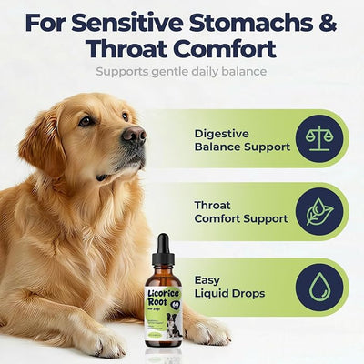 Licorice Root Drops for Dogs – Herbal Throat & Respiratory Comfort Support, Digestive Balance & Skin Wellness, Liquid Licorice Root Extract, Easy Daily Supplement, 2 fl oz (60 mL)