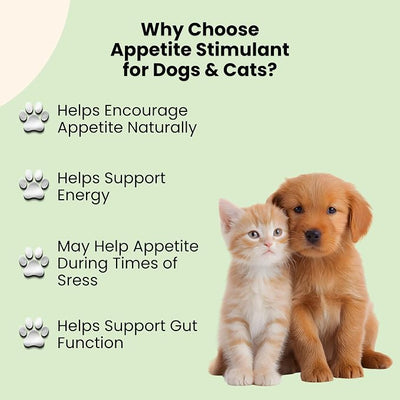 Dog & Cat Appetite Stimulant - Appetite Stimulant for Cats & Dogs - May Help to Boost Your Pet's Hunger, Energy, Mood, & Much More - B12 for Cats - B12 for Dogs - 1 fl oz - Roast Chicken Flavor