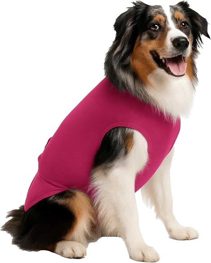 SurgiSnuggly Veterinary Invented Dog Surgical Recovery Suit for Female Spay or Male Dogs Neuters,Cone Alternative, Dog Onesie Bodysuit for After Surgery Small, Medium, Large Dogs PI SL EC