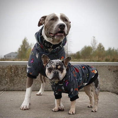 Spark Paws Dog Hoodie – Premium Dog Sweater for Small, Medium, and Large Dogs | Warm Outfits for French Bulldogs, Pitbull, Puppy, Winter Jacket Alternative - Rock and Roll - L