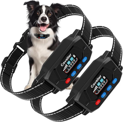 PATPET GPS Wireless Dog Fence System- Electric Fence for Dogs with 3 Warning Modes Waterproof | Outdoor Use Only | GPS Positioning | Safe Zone Radius up to 9999 ft 2 Collars