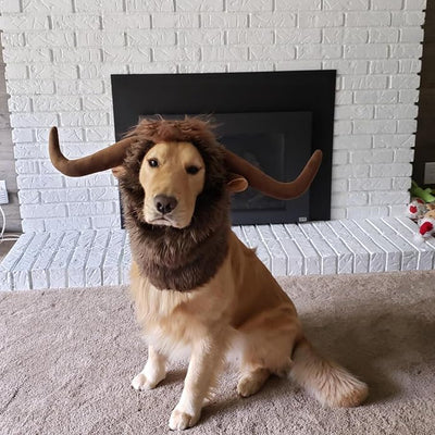 Funny Reindeer Moose Dog Costume - Cute Furry Pet Wig for Halloween & Christmas