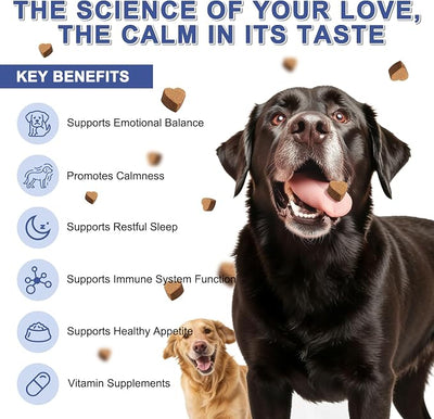 PETNANNY Calming Chews for Dogs with GABA,Calming Bites for Dog Anxiety Relief,Natural Calming Supplement Calming Treats for Pets,Support Relaxation & Composure,Chicken Flavor,90 Chews