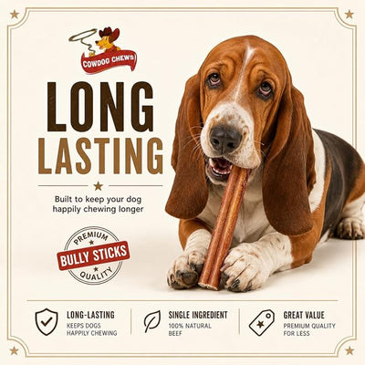 Cowdog Chews Beef Bully Stick: Odor-Free, Fully Digestible Beef Collagen Chews (9-12", 10 Count) - Natural, Grain-Free, Long-Lasting Collagen Bully Stick Substitute for All Dog Breeds