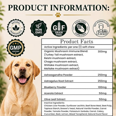 Turkey Tail Mushroom for Dogs - Organic Immune Support Chews - Buddy Health Guard Mushroom Blend - Boosts Immunity, Gut & Joint Health - Natural Chicken Flavor, Grain-Free Supplement - 90 Soft Chews