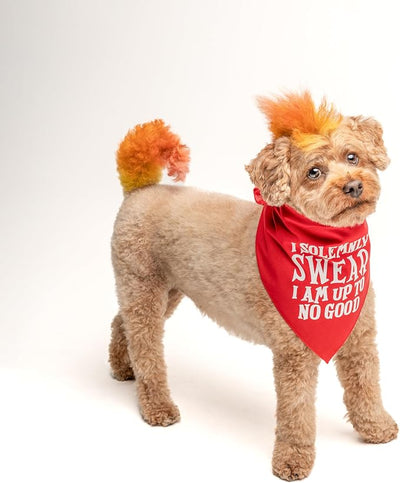I Solemnly Swear I Am Up to No Good Dog Bandana (Green, XS 1101)