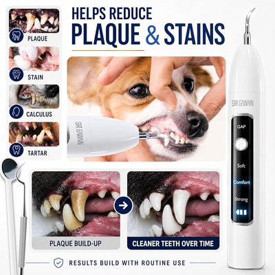 SIRGAWAIN Pet Ultrasonic Dental Cleaner — Plaque, Tartar & Stains Remover, 4 Tips, 3 Modes, LED, Contact-Activated & Smart Touch Protection, Complete Cleaning Kit for Dogs & Cats