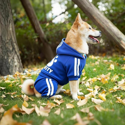 Dog Hoodie Security Clothes 4 Legs Jumpsuit Sweatshirt Hoodies Soft & Warm Dog Outfit Pullover Dog Winter Clothes Sweater for Small Medium Large Dogs Cats (Blue, X-Small)