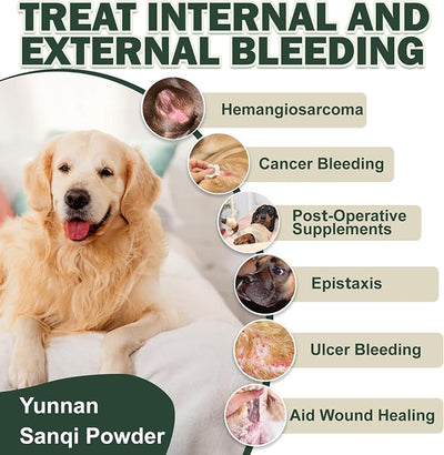 Aids in Cancer Treatment, Quick Stop Bleeding, Yunnan Sanqi Powder for Hemangiosarcoma, Hemoabdomen, Pericardial Effusion, Cancer Bleeding, Nose Bleed, Bloody Stools, Blood Support for Dogs, 100g