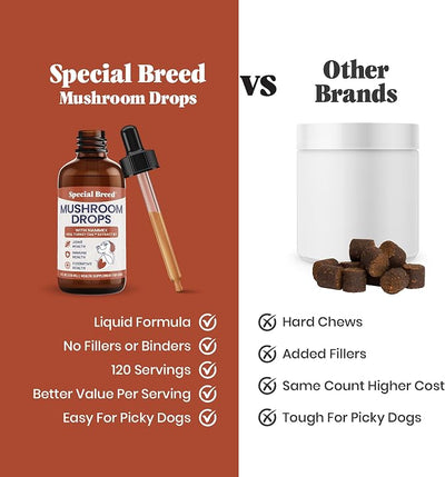 Organic Turkey Tail Mushroom for Dogs - Liquid Mushroom Supplement with Nammex Real Turkey Tail 8:1 - Immune Gut Joint Cognitive Support - Reishi Lion’s Mane Cordyceps Chaga - 120 Servings