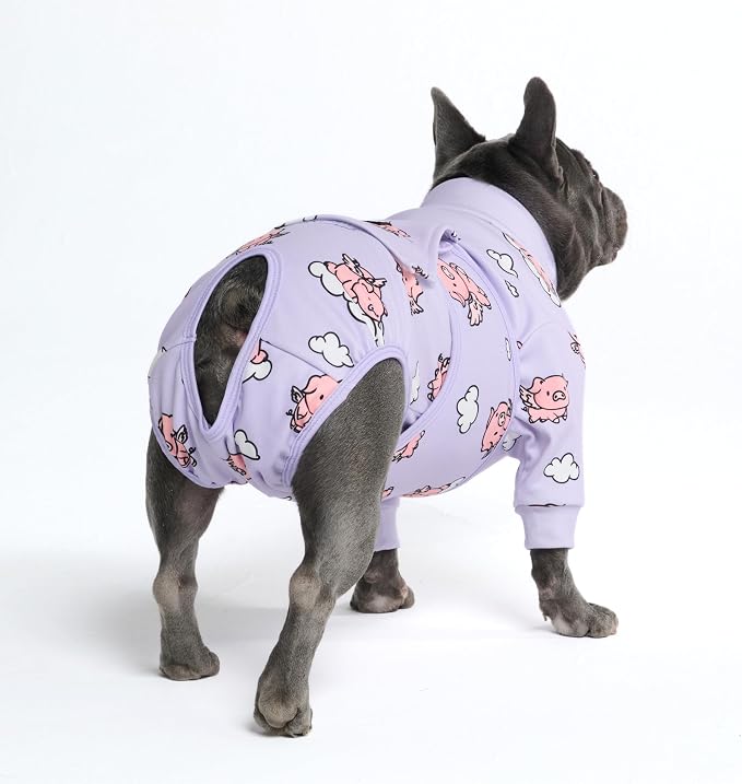 Spark Paws Dog Surgery Recovery Suit – Dog Recovery Suit After Surgery, Anti-Lick Dog Onesie, Abdominal Wound Protector, Soft Cone Alternative for Spay Neuter Male Female Pet Recovery - Pigs Fly - XL