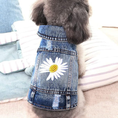 Dog Denim Jacket with Embroidered Daisy, Ripped Vintage Jean Vest for Small Dogs, Puppy, Pugs, Chihuahuas, Spring Summer Fall Festival Outfit, Medium (Fits Chest 13-14")