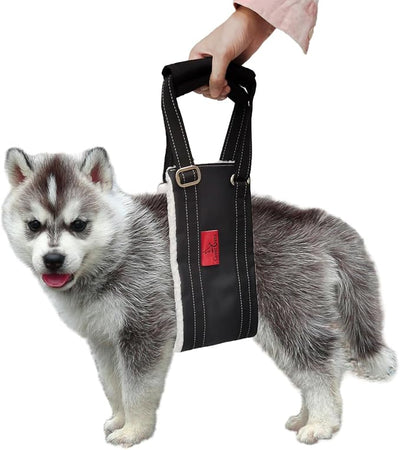 Dog Lift Harness - Cover Geny Adjustable Sling for Rear Legs with Soft Support for Senior, Injured, Disabled Dogs After ACL Surgery - Helping Pets with Canine Aid and Rehab Support (XS)
