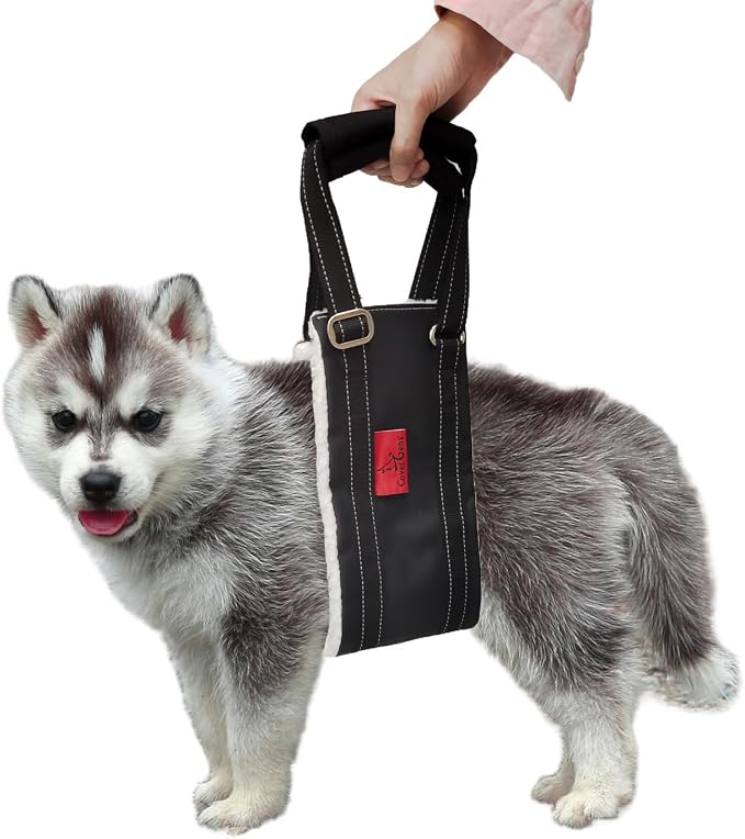Dog Lift Harness - Cover Geny Adjustable Sling for Rear Legs with Soft Support for Senior, Injured, Disabled Dogs After ACL Surgery - Helping Pets with Canine Aid and Rehab Support (XS)