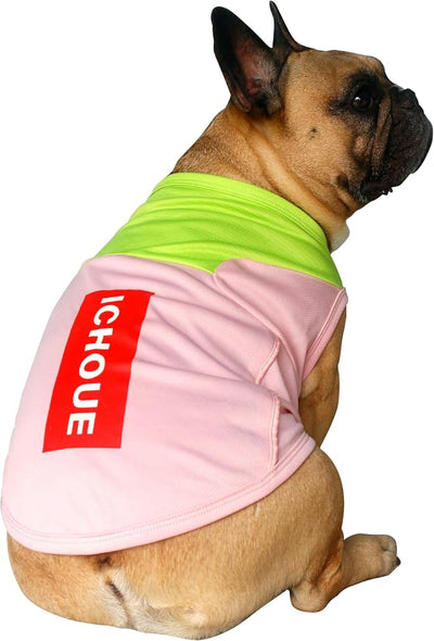 iChoue French Bulldog Summer Cooling Shirt for Dogs UV Sun Protection Vest Sleeveless Breathable Tank Top English Pug Pink Green - Small