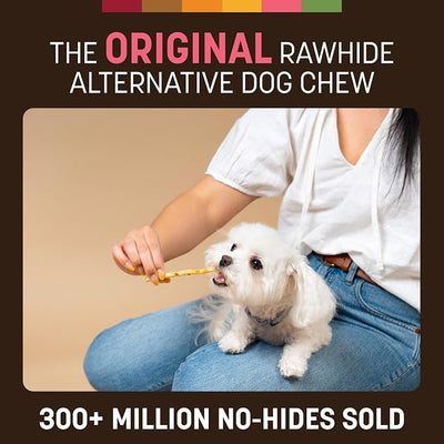 Earth Animal No Hide Stix - Long Lasting Rawhide Free Small Dog Chews Sticks, Salmon - 10 Count