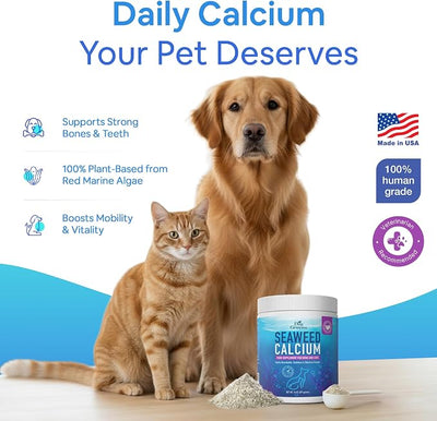 Seaweed Calcium Powder for Dogs and Cats - Vet Recommended Calcium Supplement for Dogs with 72 Trace Minerals, Wild Icelandic Marine Algae for Strong Bones, Teeth, Joints and Muscles, 14oz