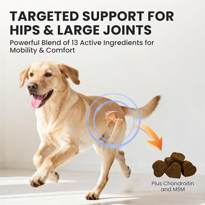 Dog Joint Supplement: with Glucosamine Chondroitin, MSM,Turmeric – Hip and Joint Support for Arthritis Pain Relief – Natural Anti-Inflammatory – for All Breeds & Senior Dogs, 180 Chews