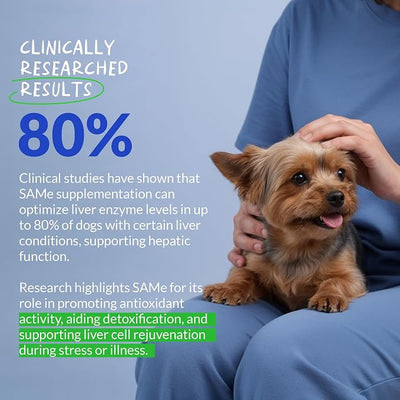 Same for Dogs 120 Tablets - Liver Supplement, Brain & Mood Support | S-Adenosyl-L-Methionine formula. Supports liver function, brain health & mood. Daily cognitive support.
