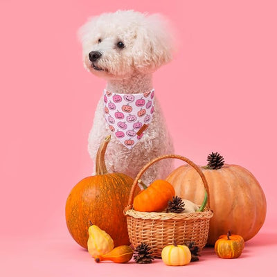 PTDECOR Halloween Dog Bandana, Pink Skeleton Pumpkin Reversible Holiday Dog Scarf, Triangle Female Halloween Bandanas for Medium Large Dogs Pets (Large)