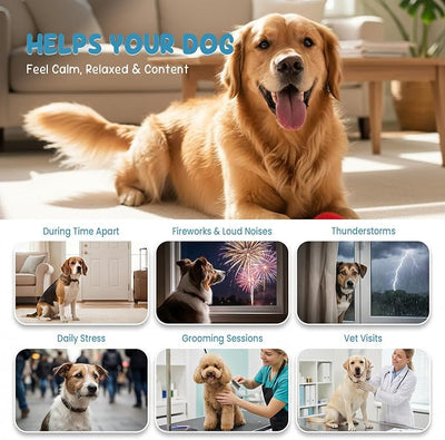 Calming Chews for Dog, Helps Support Relaxation & Stress Relief for Separation, Thunder & Travel, with Melatonin, Natural Soft & Tasty Chews, 90 Count