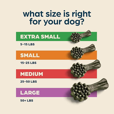 Chewsday Fresh Mint Flavor Dental Chews, Medium Dog Treats, Healthier Teeth and Fresher Breath, Enzyme Powered for Advanced Cleaning, Made in the USA, 7 Count