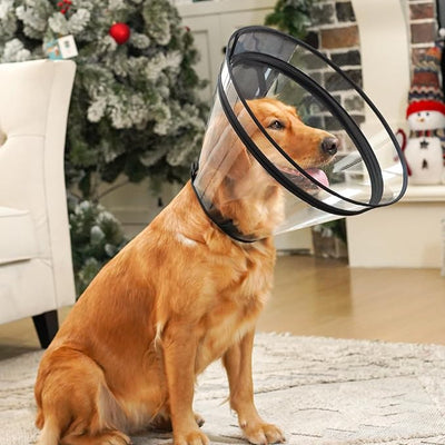 Dog Cone, Transparent Recovery Collar for Giant Breeds, E Collar After Surgery to Stop Licking, Depth Adjustable Soft Cone Not Block Vision Patented (XXL)