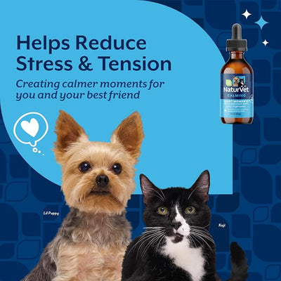 NaturVet Quiet Moments Calming Drops for Cats & Dogs – Helps Reduce Pet Stress, Promotes Relaxation – Dog Supplement, Cat Supplement Includes L-Tryptophan, Ginger, Chamomile – 2 Oz.