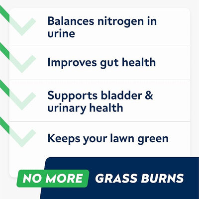 STRELLALAB Green Grass Chews - Pee Grass Spot Saver Caused by Dog Urine - Urine Neutralizer for Lawn, Gut Health Probiotics & Digestive Enzymes,Lawn Burn from Dog Urine, Grass Burn Spot Chews