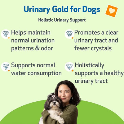 Pet Wellbeing Urinary Gold for Dogs - Vet-Formulated Multi-Herb Urinary Tract Support - Bladder Health & Urinary System Wellness - Natural Dog Supplement - 4 oz (118 ml)